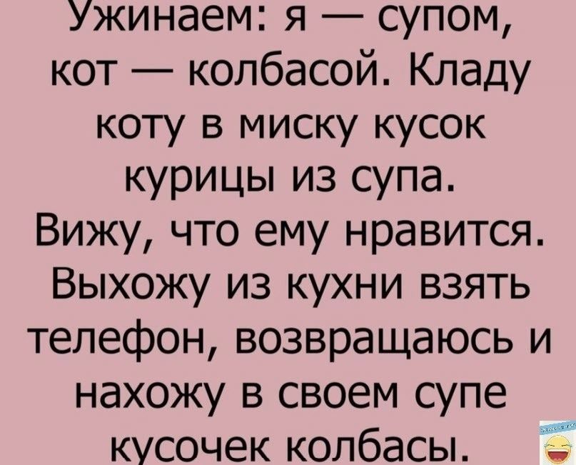 Ужинаем я супом кот колбасой Кладу коту в миску кусок курицы из супа Вижу что ему нравится Выхожу из кухни взять телефон возвращаюсь и нахожу в своем супе кусочек колбасы