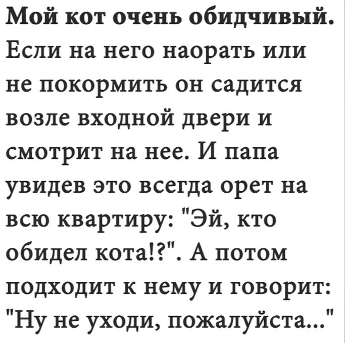 Мой кот очень обидчивый Если на него насрать или не ПОКОРМИТЬ ОН СЗДИТСЯ возле входной двери и смотрит на нее И папа увидев это всегда орет на всю квартиру Эй кто обидел кота А потом ПОДХОДИТ К нему И ГОВОРИТ Ну не уходи пожалуйста