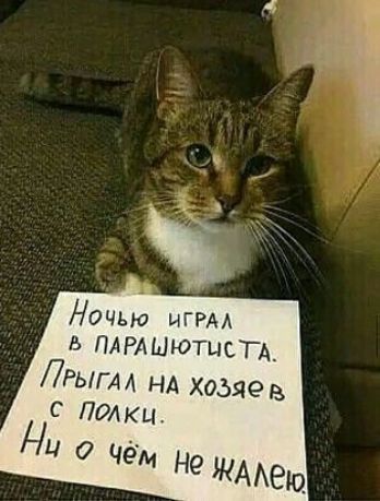 Ночью игРАА ПАРАШЮТЦСТА_ ЛРЬГА А нд хоьяе