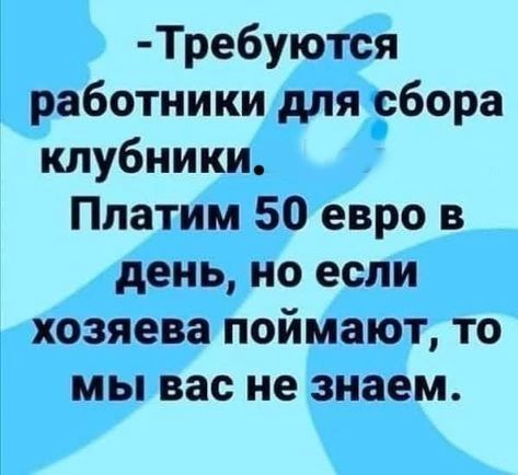 Тре6уются работники для сбора клубники Платим 50 евро в день но если хозяева поймают то мы вас не знаем