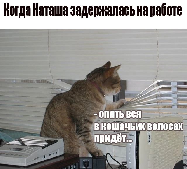 Когда Наташа задержалась на паботе