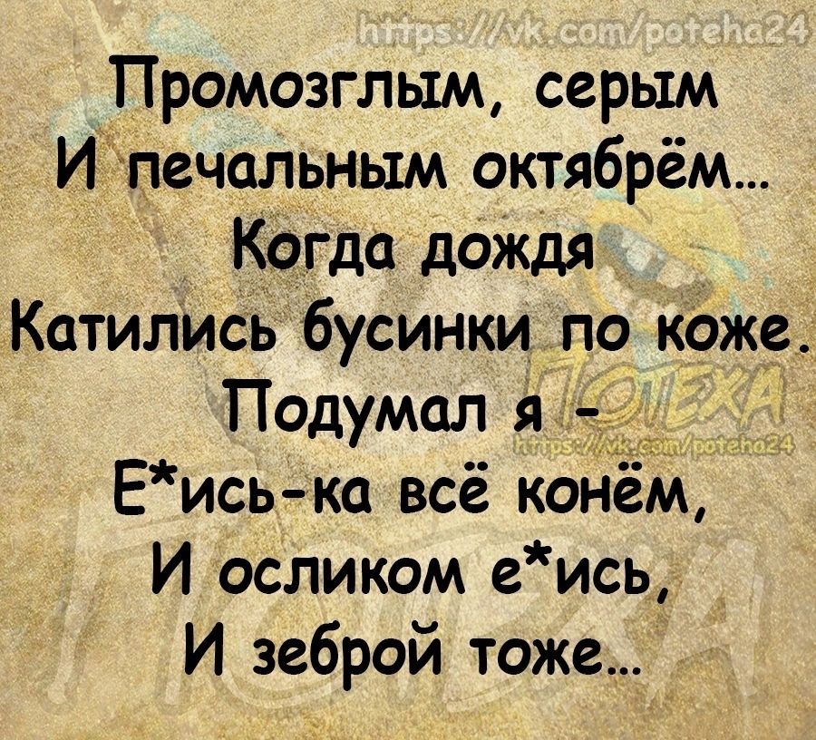 Промозглым серым Иьпечальным октябрём Когда дождя Катились бусинки по каже Подумал я Еись ка всё конем И осликом е ись И зеброй тоже