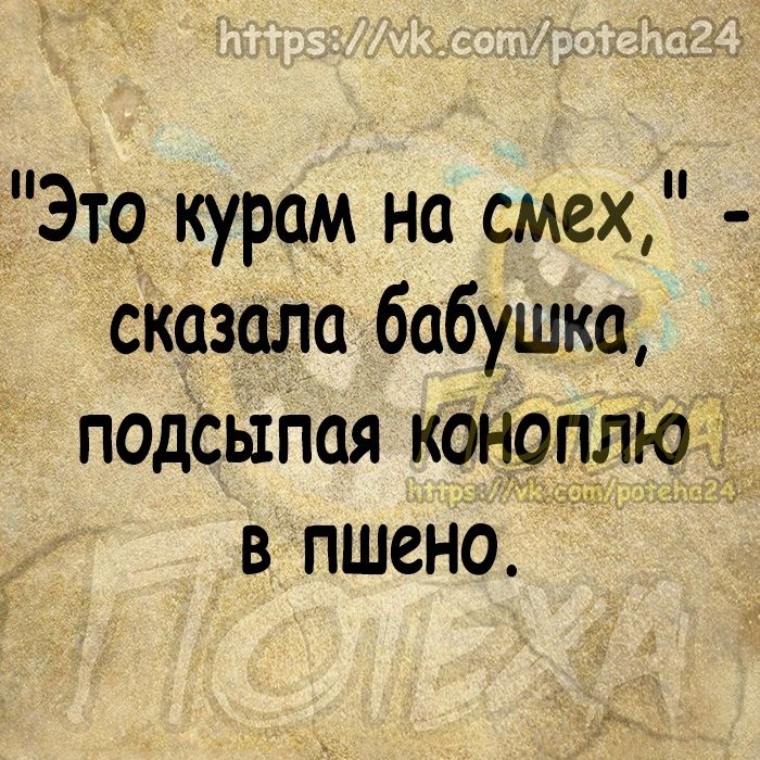 _Это курам на смех сказала бабушка подсыПая коноплю в пшено