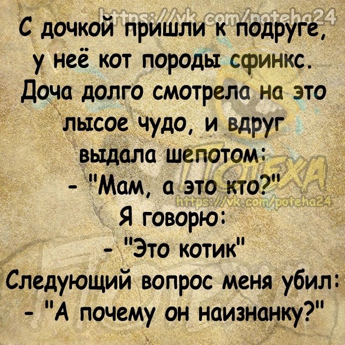 С дочкой пришли к подруге у неё кот породы сфинкс Доча долго смотрели на это лысое чудо и вдруг выдала шепотом Мам а этокто Я говорю Это котик Следующий вопрос меНя убил А почему он наизнанку