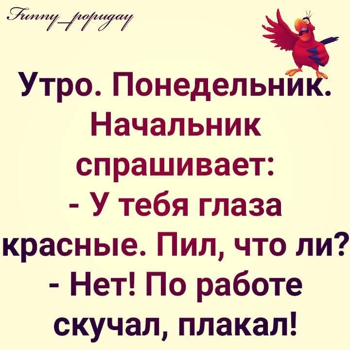 ён Утро Понедельни Начальник спрашивает У тебя глаза красные Пил что ли Нет По работе скучал плакал