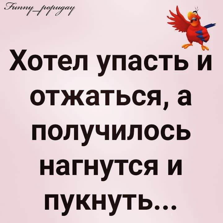 Нут і Хотел упасть и отжаться а получилось нагнутся и пукнуть