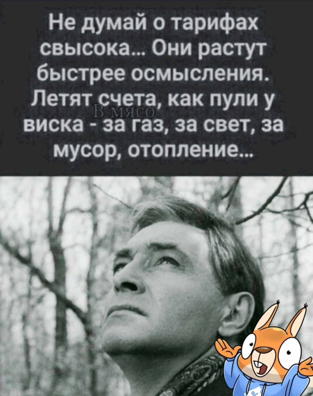 Не думай о тарифах свысока Они растут быстрее осмысления Летят счета как пули у виска за газ за свет за МУСОР ОТОПЛЕНИЕ