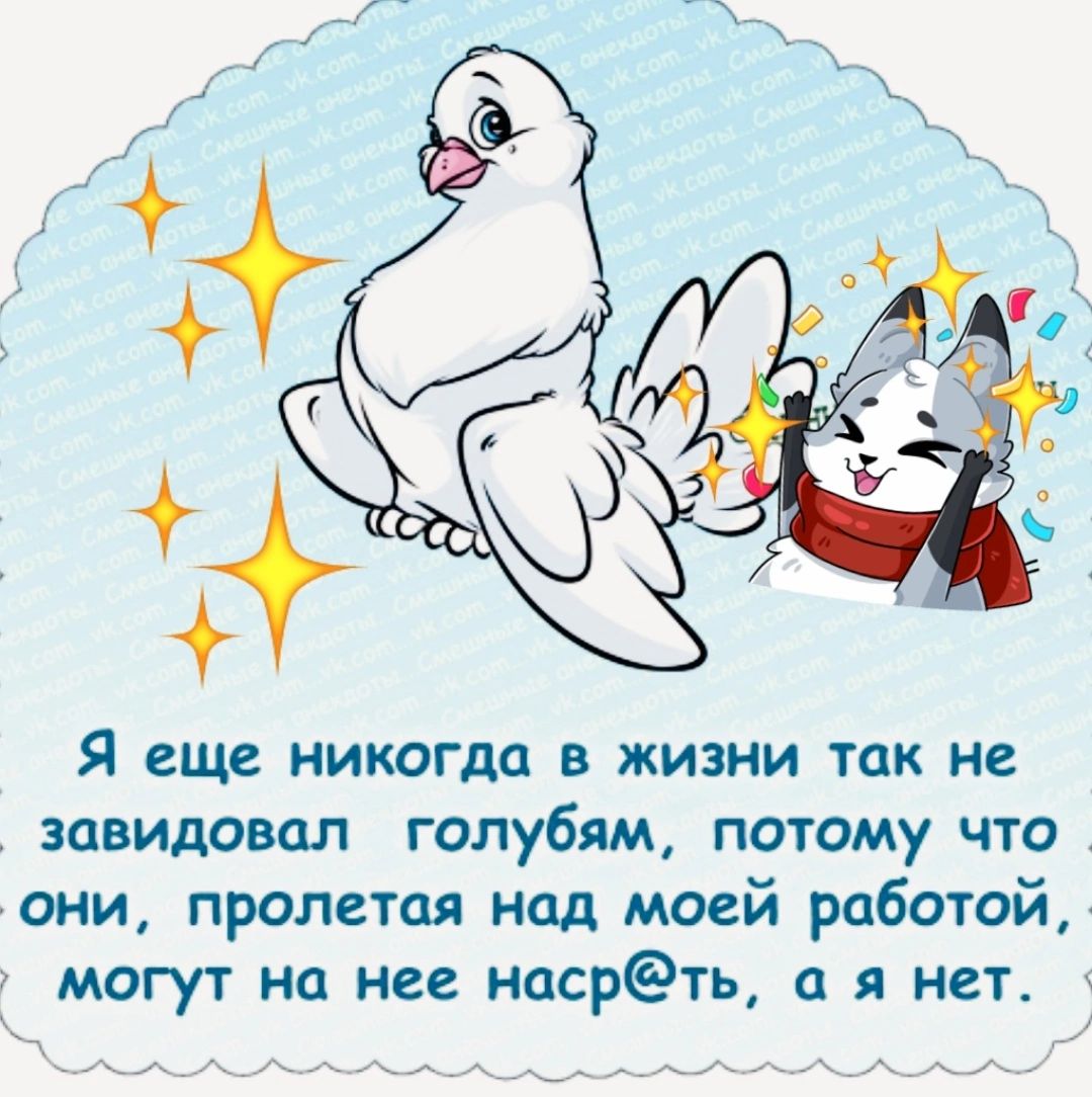 Я еще никогда в жизни так не завидовал голубям потому что они пролетая над моей работой могут на не насрёть а я нет