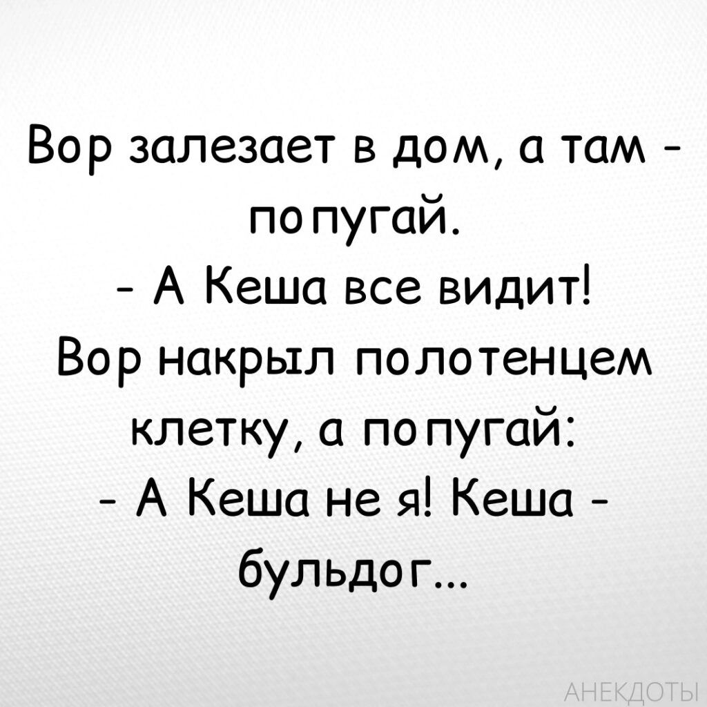 Вор залезает в дом а там по пугай А Кеша все видит Вор накрыл полотенцем клетку попугай А Кеша не я Кеша бульдог