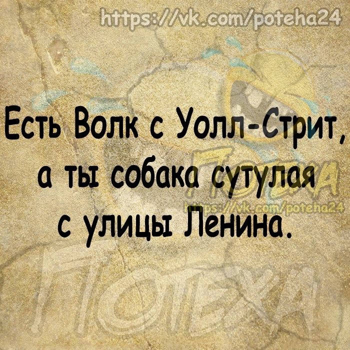 Есть Волк с Уолл Стрит а ты собака сутулая с улицы ЛенйНа