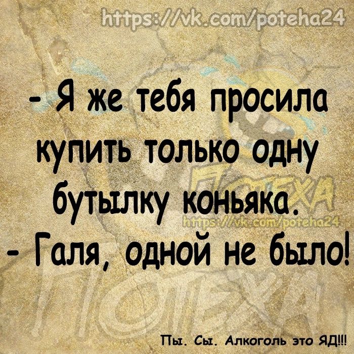 Я же тебя просила купить только одну бутылку коньяка Галя одной не было _ Пы Сы АлкоголЁЪю ядш