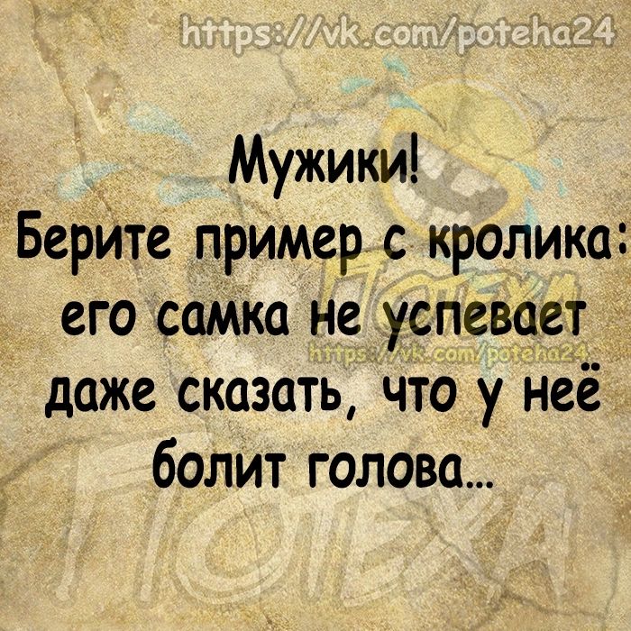 Мужики Берйте пример с кролика его самка не успевает даже сказать что у неё болит голова