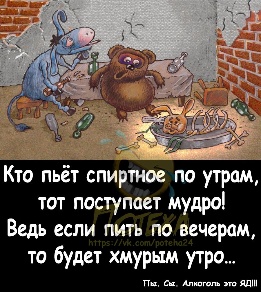 Кто пьёт спиртов по утрам тот поступает мудро Ведь если пить по вечерам то будет хмурым утро Пи Си Апшом это ядш