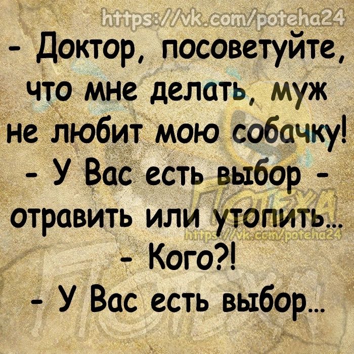 Доктор посоветуйте что мне делать муж не Любит мою собачку У Вас есть выбор отравить или утопить Кого У Вас есть выбор