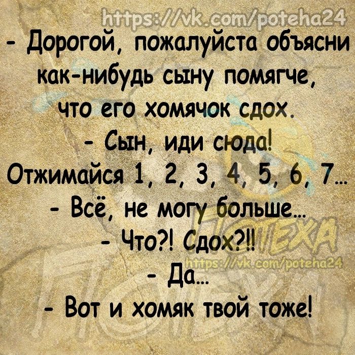 Дорогой пожалуйста объяони как нибудь сыну помягче что его хомячок сдох Сын иди сюда _ Отжимайсяі 2 З 4 5 6 7 Всё не могу больше Вот и хомяк твой тоже