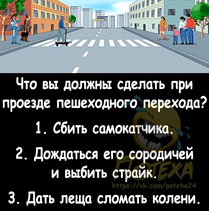 ЧТО ВЫ должны сделать ПРИ проезде пешеходного перехода 1 Сбить сцмокатчика 2 Дождаться его сородичей и выбить страйк 3 Дать леща сломать колени