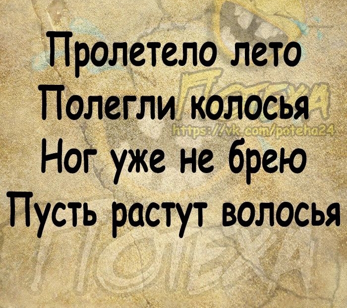 Пролетело лето Полегли колосья _ Ног уже не брею Пусть растут волосья