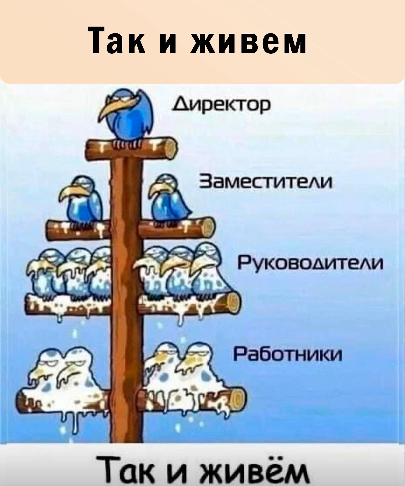 Так и живем Так и живём