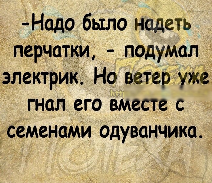 дНадо было надеть перчатки подумал электрик Но ветер уЖе гнал его вМесте с семенами одуванчика