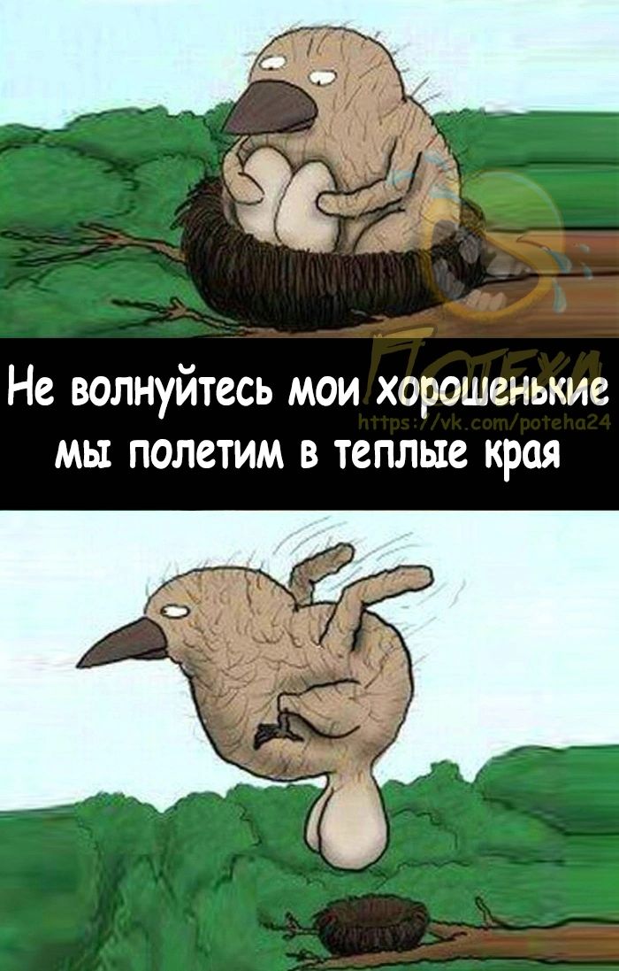 Не волнуйтесь мои хорошенькие мы полетим в теплые края