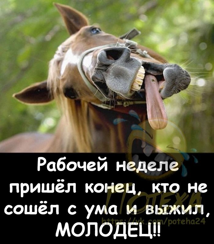 А Рабочей неделе пришёл конец кто не сошёл с ума и выжил МОЛОДЕЦЦ