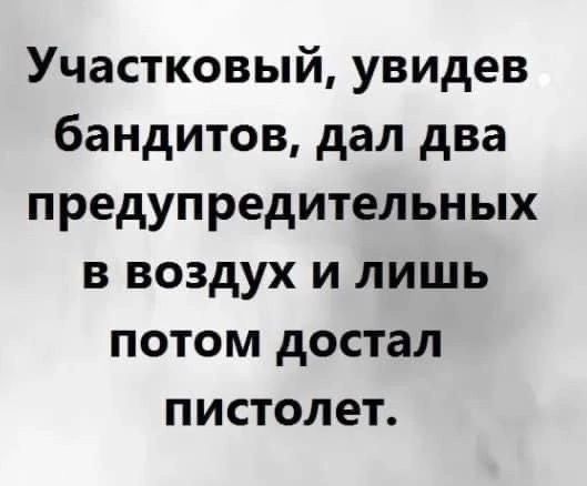 Участковый увидев бандитов дал два предупредительных в воздух и лишь потом достал пистолет