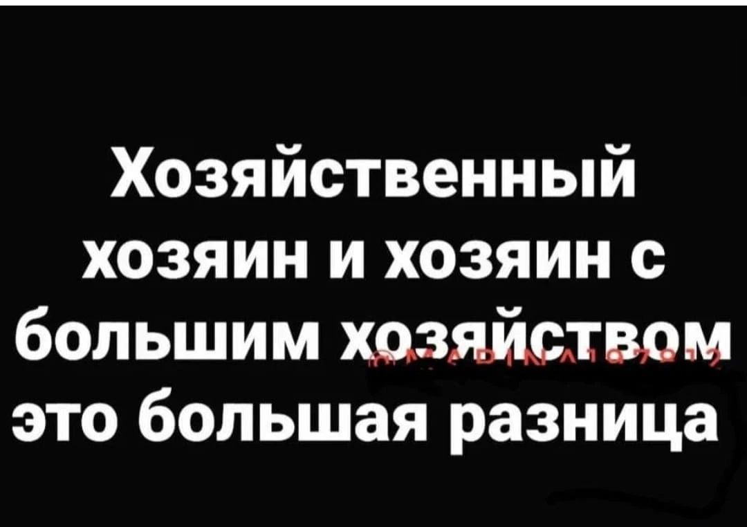 Хозяйственный хозяин и хозяин с большим хозяйцтвом это большая разница