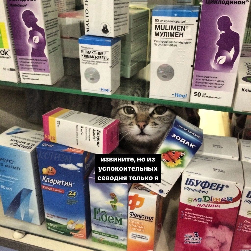 А Усппкпигельиых севодня только