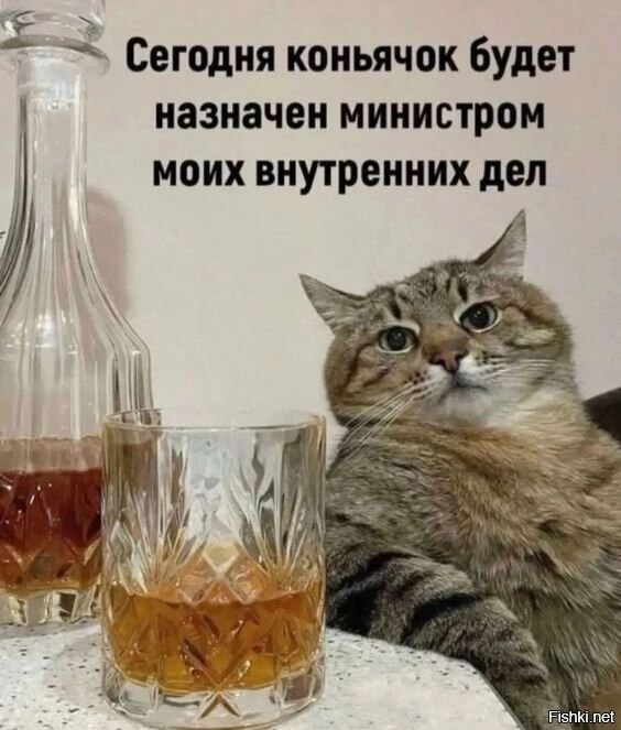 і Сегодня коньячок Будет назначен министром моих внутренних дел