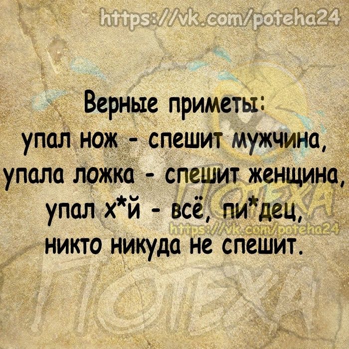 Верные приметы упал нож спешит мужчина упала ложка спеши женщин9 упал хй все пи 9ец никто никуда не спешит