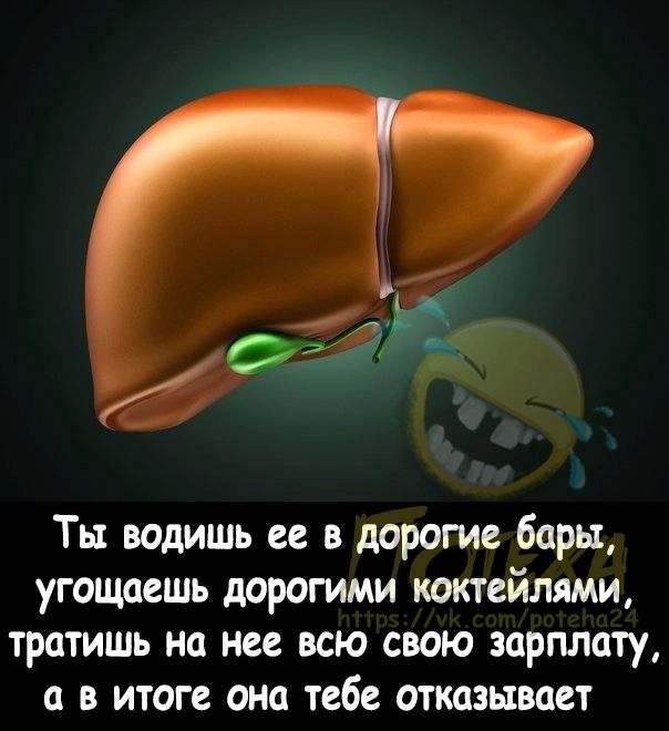 Ты водишь ее в дорогие бары угощпешь дорогими коктейлями тратишь на нее всю свою зарплату а в итоге она тебе отказывает