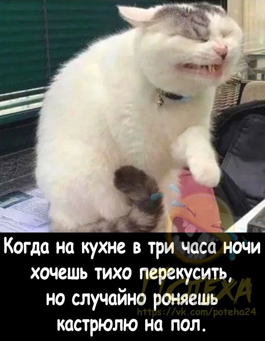 Когда на кухне в три часа ночи хочешь тихо перекусить но случайно роняешь кастрюлю на пол