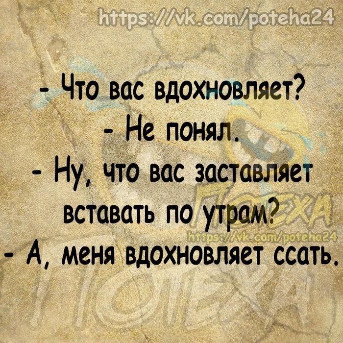 Что вас вдохновляет Не понял Ну что вас заставляет вставать по утрам 55 А меня вдохновттяет ссать