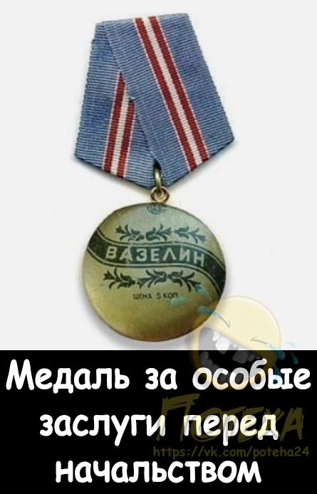 Медаль за особые заслуги перед начальством