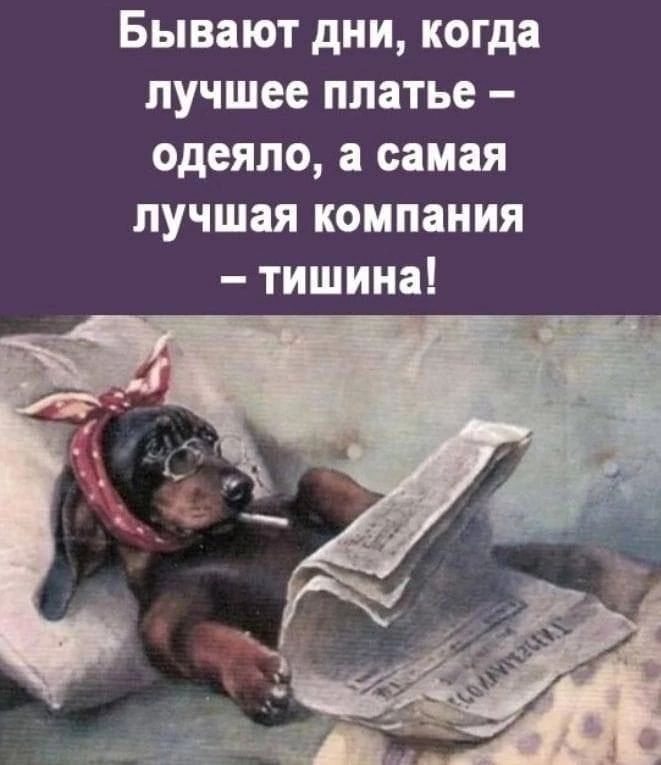 Бывают дни когда лучшее ппатье одеяло а самая лучшая компания тишина