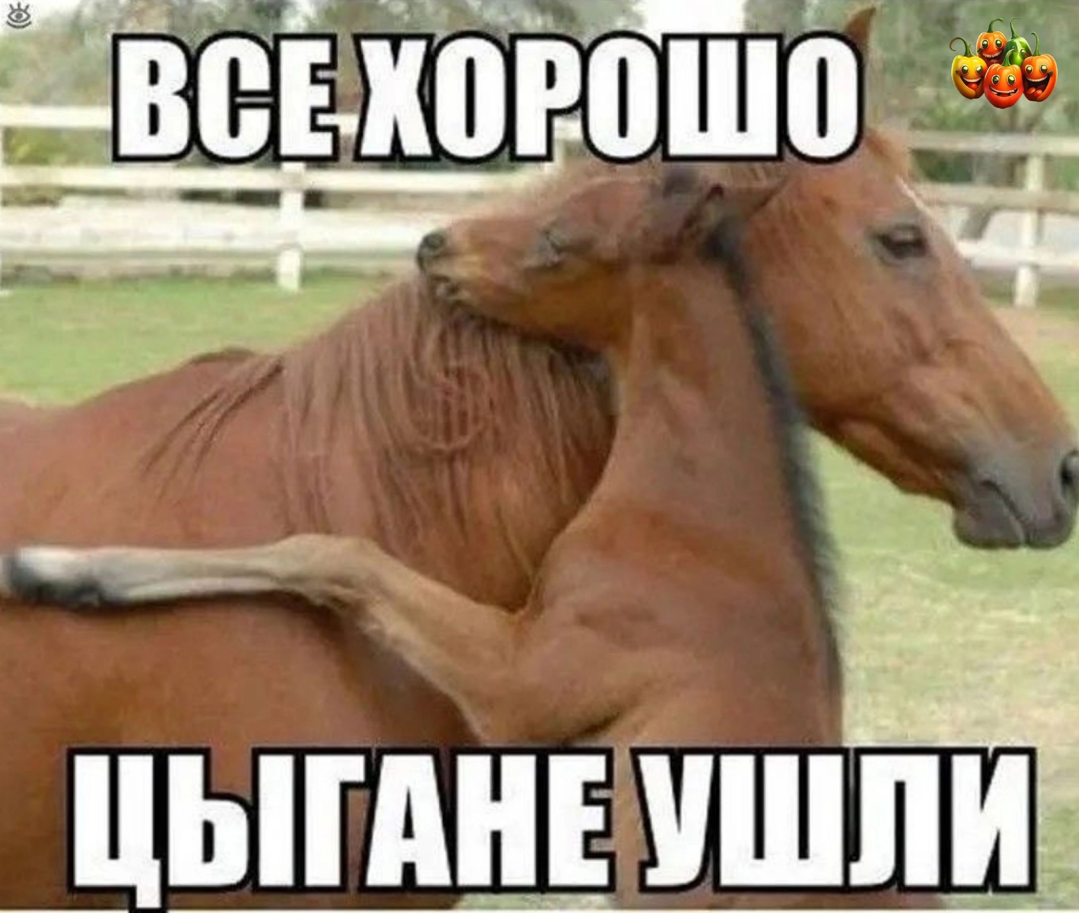 _ЦЫПШЕ УШПШ