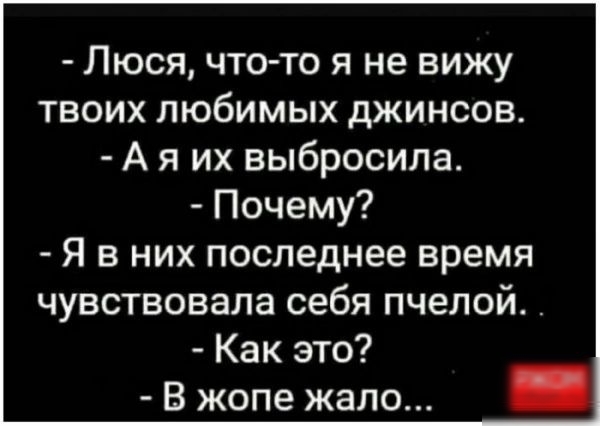 Люся что то я не вижу твоих любимых джинсов А я их выбросила Почему Я в них последнее время чувствовала себя пчелой _ Как это В жопе жало