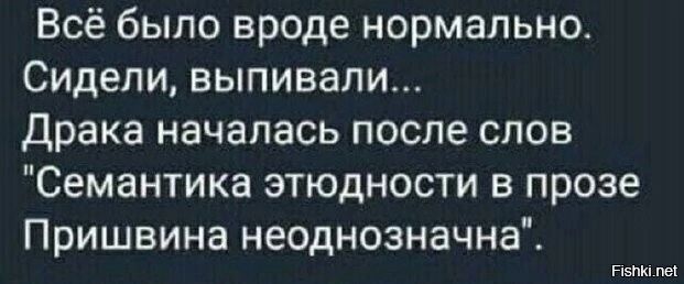 Всё было вроде нормально Сидели выпивали Драка началась после слов Семантика этюдности в прозе Пришвина неоднозначна