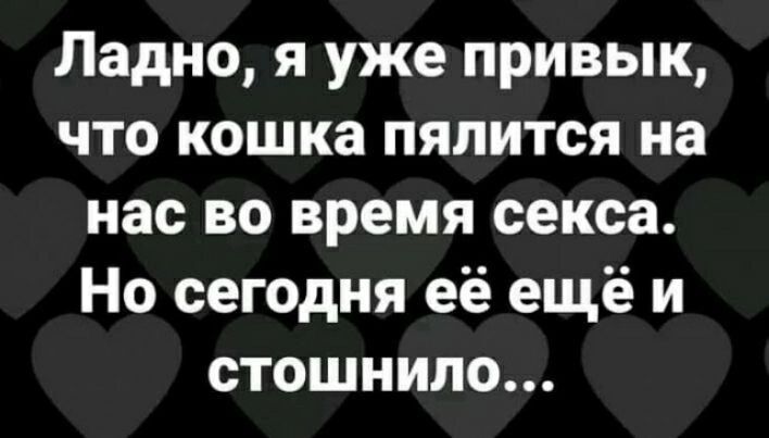 Ладно я уже привык что кошка пялится на нас во время секса Но сегодня её ещё и стошнило