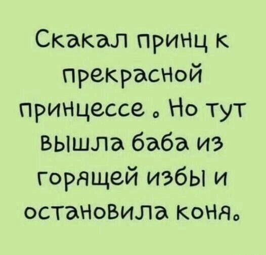 Скакал принц к прекрасНой принЦессе Но тут вышла баба из горящей избы и остаНоВила КОНЯО