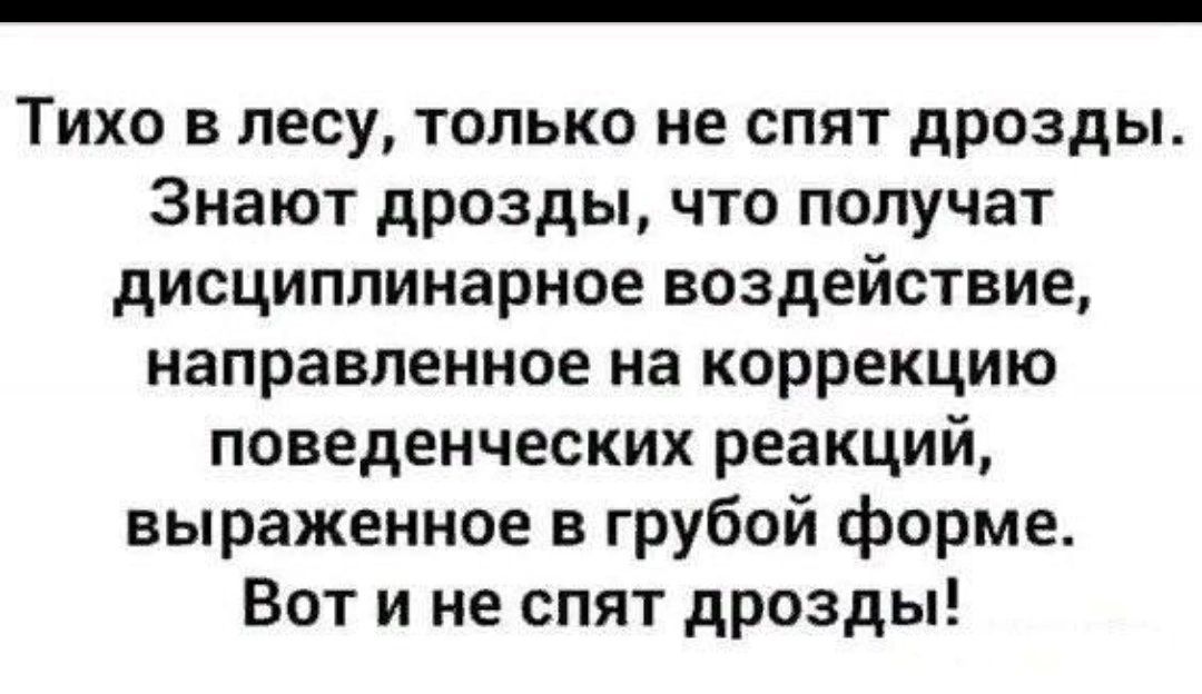 ТИХО В лесу ТОЛЬКО не СПЯТ дрозды Знают дрозды ЧТО получат дисциплинарное воздействие направленное на коррекцию поведенческих реакций выраженное в грубой форме Вот и не спят дрозды