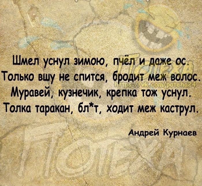 Шмит уснул зимою пчёл и даже ос_ Только вшу не спится бродит мщаол Муравей кузнечик крепіа тож уанул Толпа таракан блт ходит меж каструл Андрей Куриаев