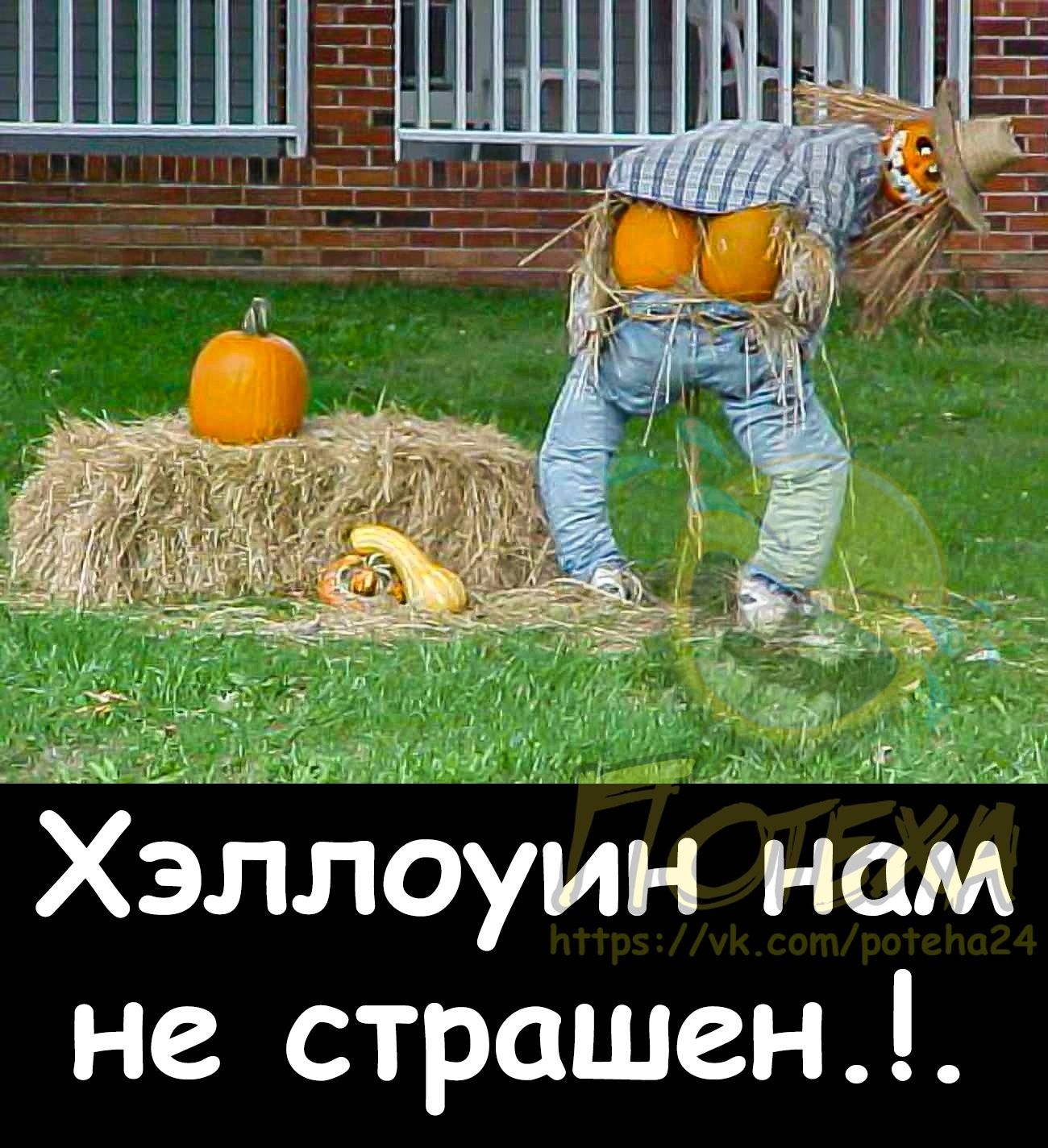 и ШЁ дн Хэллоуин нам не страшен Ц