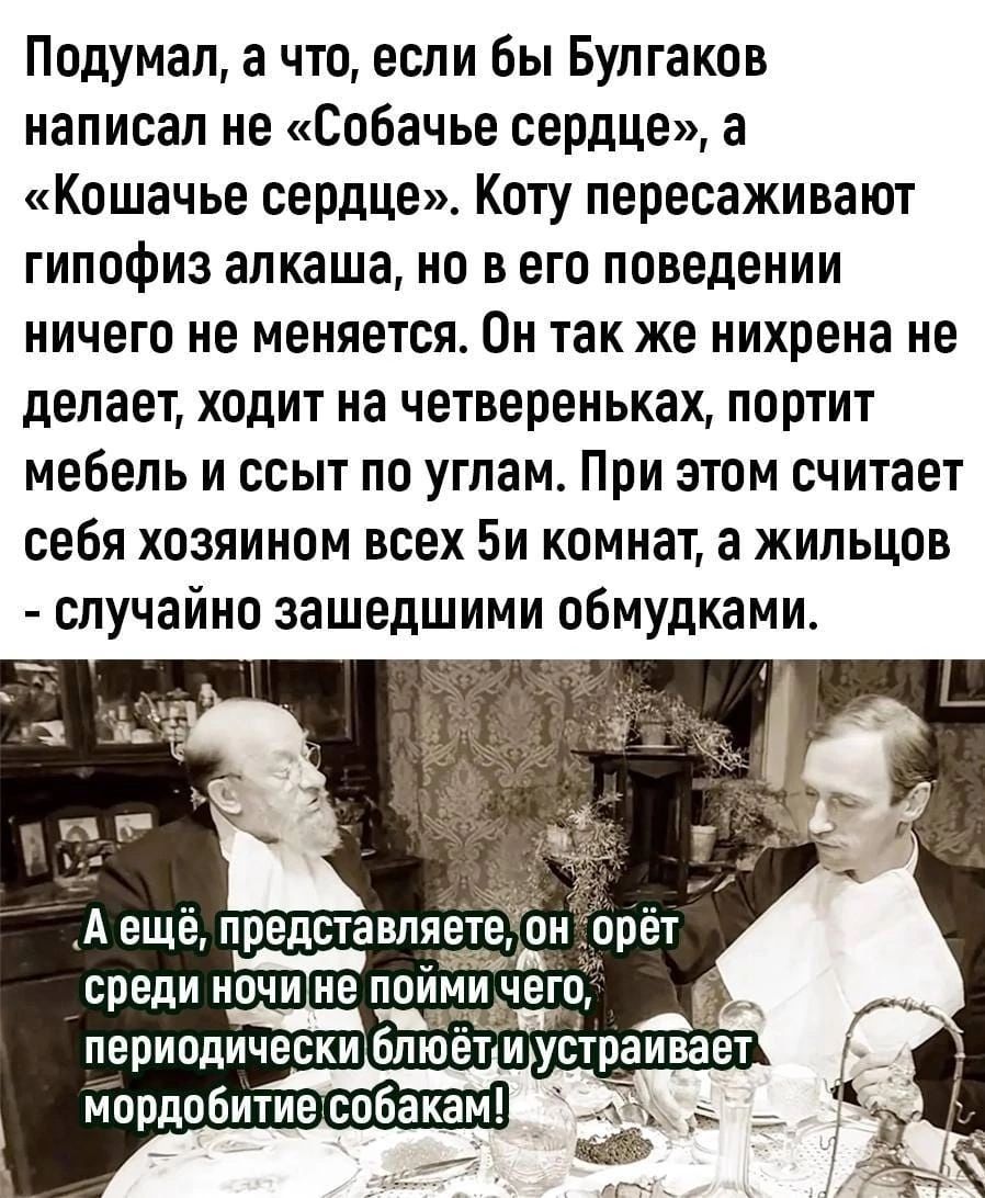 Подумал а что если бы Булгаков написал не Собачье сердце а Кошачье сердце Коту пересаживают гипофиз алкаша но в его поведении ничего не меняется Он так же нихрена не делает ходит на четвереньках портит мебель и ссыт по углам При этом считает себя хозяином всех Би комнат а жильцов случайно зашедшими обмудками А еще представила среди НОЧИ не ПОИМИЮЭЗПЁ