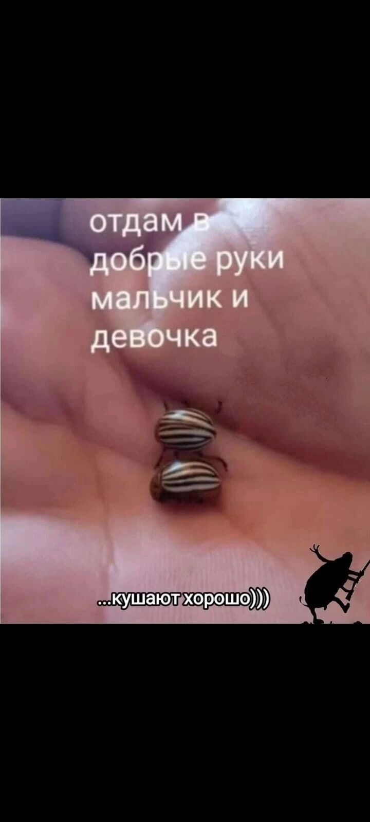 кушаютхорошо
