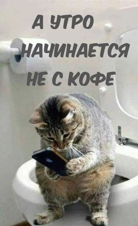 А что жд чиндпся не с кофе