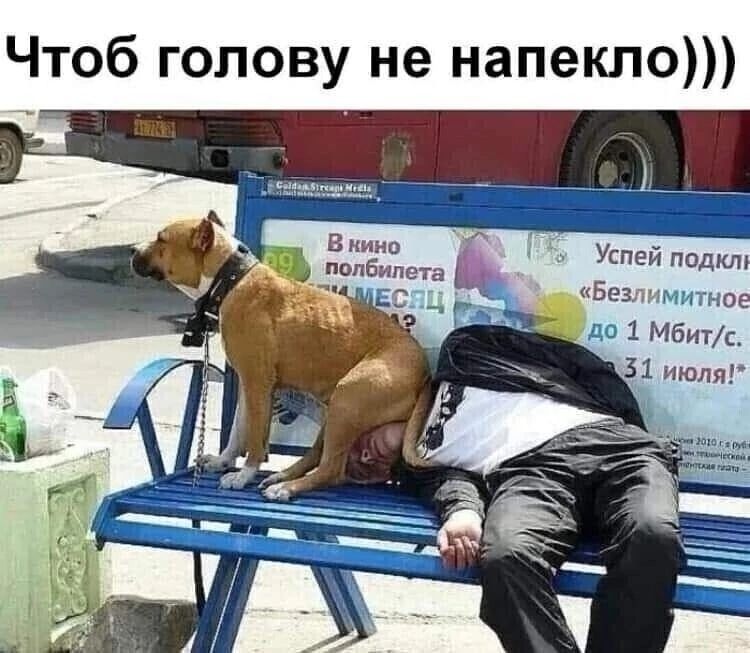 Чтоб голову не напекло