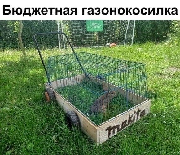 БЮДЖЕТНЗЯ Газонокосилка