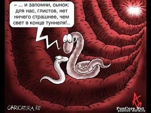 _ и запомни сынок для нас глистов нет ничего страшнее чем свет в конце Ууннепй н гиде дд