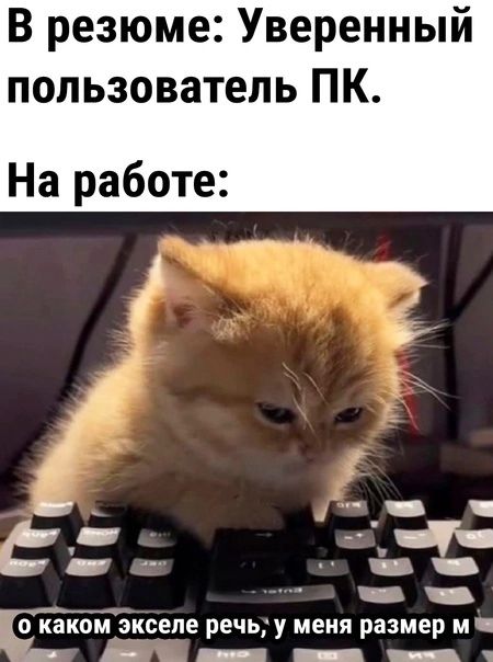 В резюме Уверенный пользователь ПК На работе _ _ О каком ЭКСВПЕ РЕЧЬ у МЕНЯ размер М _г _ _ _ г